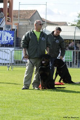 Remise des Prix 091.JPG - CHIENPLUS.COM